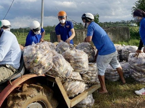 林同省的志願隊收成農產品運到本市。（圖源：黃玉）