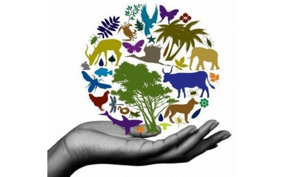 圖為生物多樣性基金宣傳海報。（圖源：互聯網）