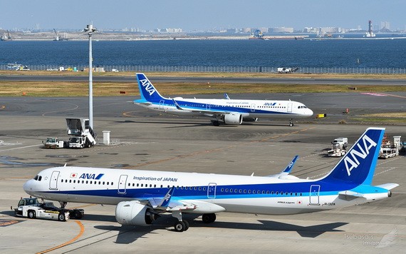 日本全日本空輸公司客機。（圖源：互聯網）