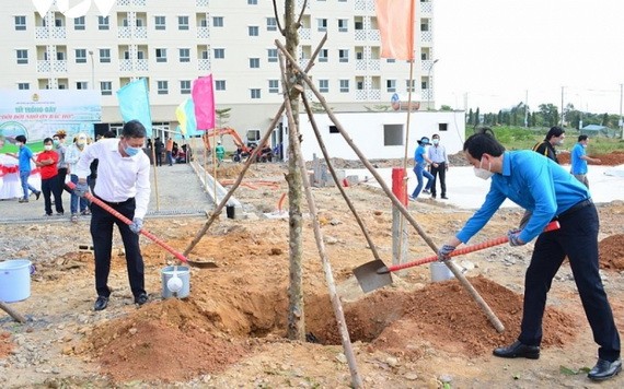 峴港市勞動聯團主席阮維明參加植樹活動。（圖：VOV）