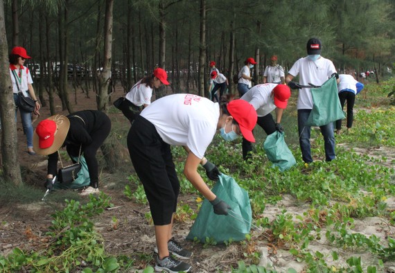 Các tình nguyện viên nhặt rác tại rừng dương ven biển
