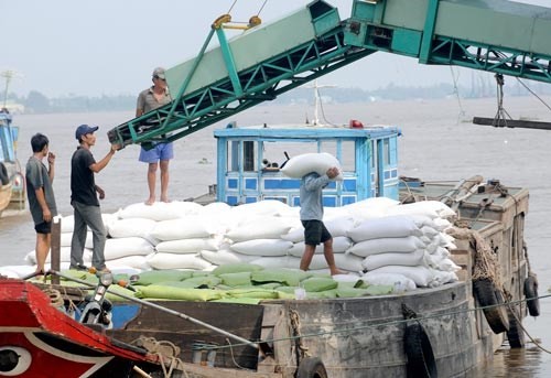Rice bags transported aboard in the Hau river in the Mekong Delta (Photo: SGGP)