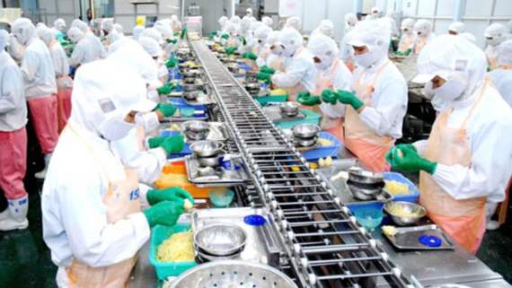 Processing industry draws much attention by foreign investors (Photo: SGGP)
