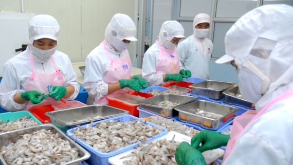 A shrimp processing plant in Hiep Phuoc Industrial Park, HCMC (Photo: SGGP)