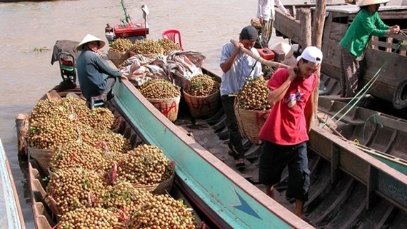 Vegetable and fruit exports were expected to post a growth of 10 percent this year (Photo: vneconomy.vn)