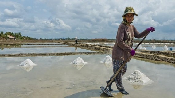 A salt field in Kampot (Source: opendevelopmentcambodia.net)