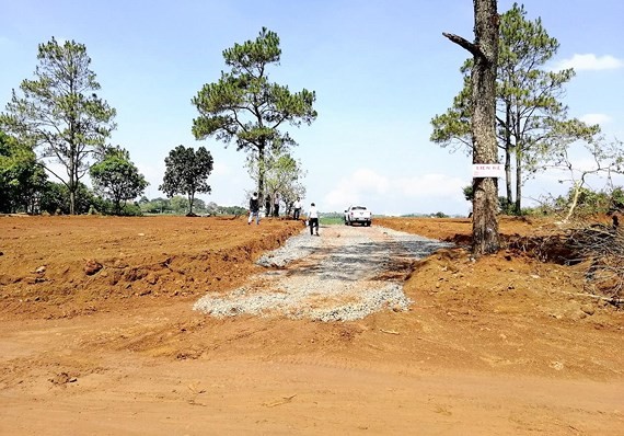 Many land parcels in Bao Loc district, Lam Dong province have been leveled and advertised to be in a favourale postion in the near futute to lure buyers (Photo: SGGP)