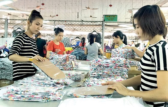Workers at a garment firm in HCMC (Illustrative photo: SGGP)