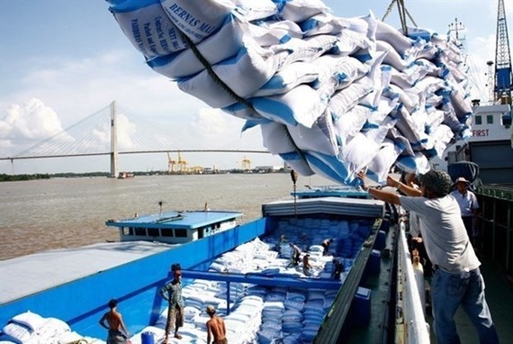 Rice is loaded at Saigon Port in HCMC (Source: VNA)