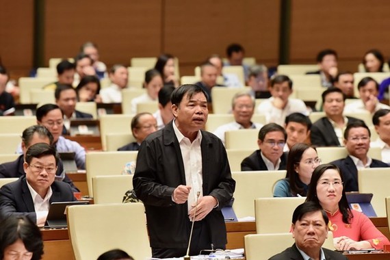 Speaking at the NA working session, Minister of Agriculture and Rural Development Nguyen Xuan Cuong said Vietnam now has 14.6 million ha of forest, of which natural forests total 10.3 ha. (Photo: VGP)
