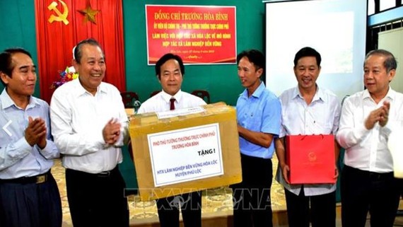 Phó thủ tướng Trương Hòa Bình thăm HTX Lâm nghiệp bền vững Hòa Lộc