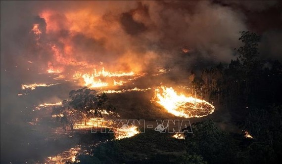 Các đám cháy rừng lan rộng tại bang Victoria, Australia. Ảnh: AFP/TTXVN 