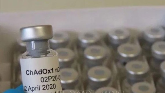 Vaccine  ChAdOx1 nCoV-19. Ảnh PA/TTXVN