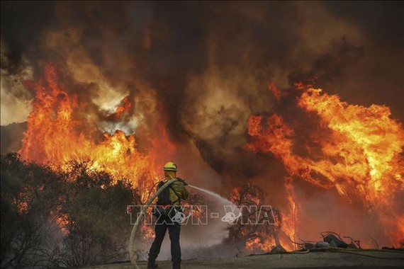  Lính cứu hỏa nỗ lực dập lửa tại đám cháy rừng ở Jamul, bang California, Mỹ. Ảnh: AFP/TTXVN