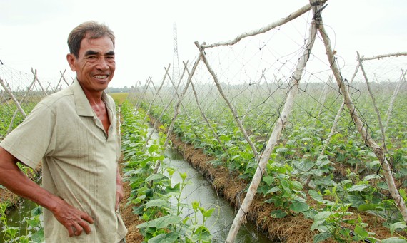 Nhờ chuyển đổi sản xuất hợp lý, nông dân  huyện Long Phú, tỉnh Sóc Trăng được vụ hoa màu. Ảnh: TUẤN QUANG