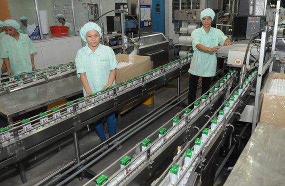 Sản xuất sữa tại Công ty Nutifood Ảnh: CAO THĂNG