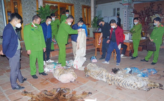 Cơ quan Công an kiểm tra tang vật dùng để nấu cao hổ tại nhà ông Ngô Văn Quân. Ảnh: TTXVN