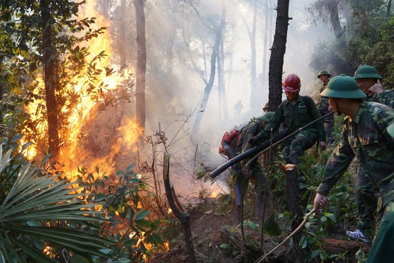 Lực lượng chức năng tham gia chữa cháy rừng
