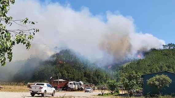 Cháy rừng tại huyện Nghi Xuân, Hà Tĩnh