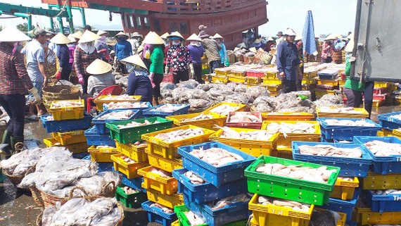  Lên hàng hải sản tại cảng cá Phước Tỉnh (huyện Long Điền)