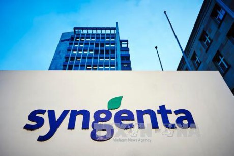 Tập đoàn Syngenta giúp ngành nông nghiệp ứng phó biến đổi khí hậu 
