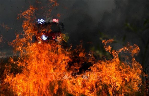  Cháy rừng gần Taree, bang New South Wales, Australia ngày 11-11-2019. Ảnh: TTXVN
