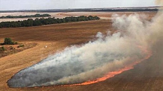 Khói lửa bốc lên từ đám cháy rừng tại khu vực Pantanal, bang Mato Grosso, Brazil ngày 29-7-2020. Nguồn: TTXVN
