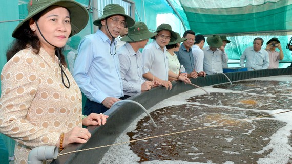 Chủ tịch  HĐND TPHCM Nguyễn Thị Lệ giám sát  sản xuất nông nghiệp tại huyện Cần Giờ. Ảnh: VIỆT DŨNG