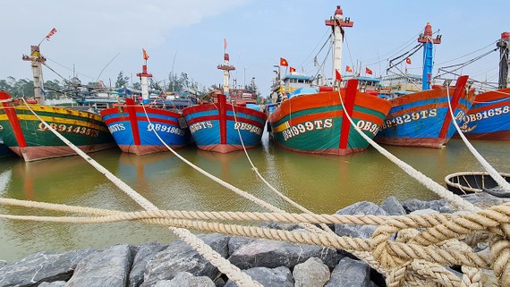 Đội tàu đánh bắt xa bờ của tỉnh Quảng Bình được ngư dân đầu tư từ chính sách ưu tiên  vay vốn đóng tàu hiện đại, đi khơi xa