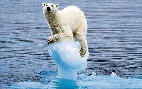 Biến đổi khí hậu được cho là nguyên nhân chính khiến băng không ngừng tan ở Bắc Cực