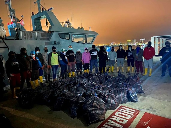  Các túi cocaine bị thu giữ từ một con tàu ở Tumaco, Colombia ngày 4-11. Ảnh: REUTERS 