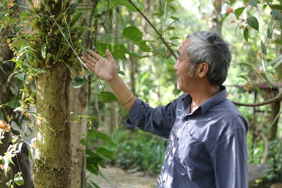 Ông Hưng dành gần nửa đời gắn bó, bảo tồn các loài lan rừng quý hiếm