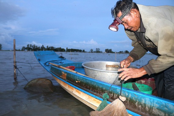 Nhiều nông dân vùng biên giới  huyện An Phú, tỉnh An Giang thu nhập 1 triệu đồng/ngày nhờ đánh bắt cá linh