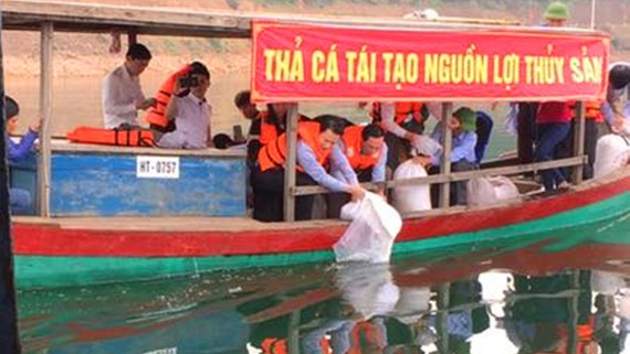 Thả cá trên lòng hồ Kẻ Gỗ ở tỉnh Hà Tĩnh