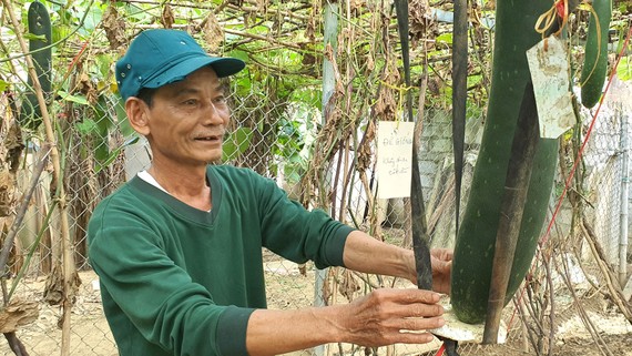 Ông Lê Hải Dương, 70 tuổi, người tham mưu cho xã Xuân Thủy việc nhận lương hưu từ góp lúa