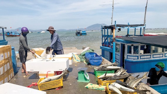 Kiên Giang và Cà Mau chung tay chống khai thác thủy sản bất hợp pháp