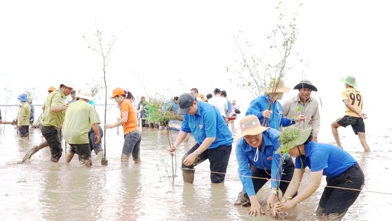 Nhóm bạn trẻ của chương trình “Hạnh Phúc Xanh” trồng rừng ngập mặn