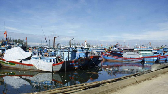 Cảng neo trú tàu thuyền Tịnh Hòa