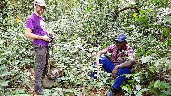 Tiến sĩ A.Davis (trái) và đồng nghiệp tái phát hiện cây cà phê Stenophylla trong chuyến thám hiểm ở Sierra Leone