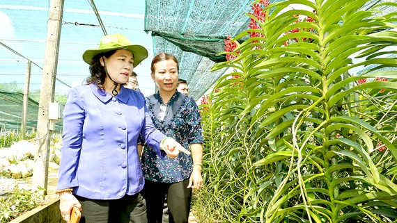 Đồng chí Nguyễn Thị Lệ trong chuyến khảo sát hoạt động nông nghiệp tại huyện Củ Chi. Ảnh: VIỆT DŨNG