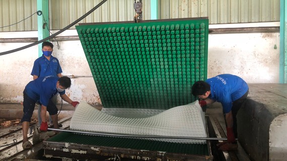 Nhờ liên kết, đầu tư máy móc, nhiều công ty của Tập đoàn Công nghiệp cao su Việt Nam có thể sản xuất ra sản phẩm chế biến sâu từ cao su