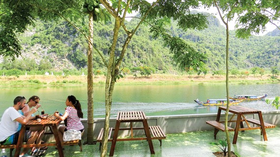Cây sưa trong nhà vườn ông Hồ Khanh, thị trấn Phong Nha, Bố Trạch, Quảng Bình. Ảnh: MINH PHONG