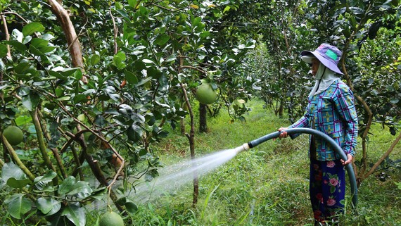  Chủ động nước ngọt đảm bảo cho sản xuất nông nghiệp trong suốt mùa khô ở ĐBCSL