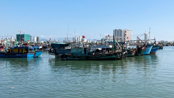 Tàu cá ngư dân đang neo tại cảng cá Hòn Rớ, xã Phước Đồng, TP Nha Trang, Khánh Hòa