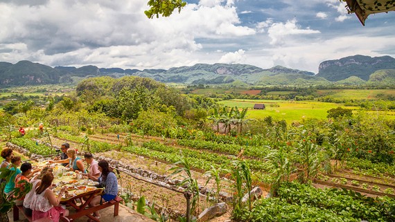 Khách du lịch khám phá vùng nông thôn của Cuba