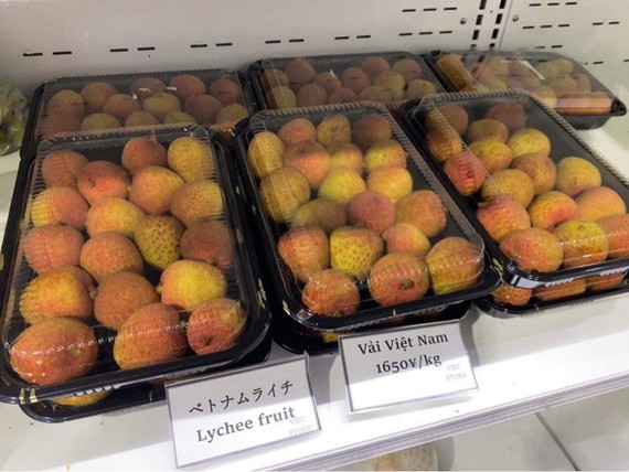 Vải thiều sớm Bắc Giang trên kệ của siêu thị tại Nhật Bản. Ảnh: N.THỌ