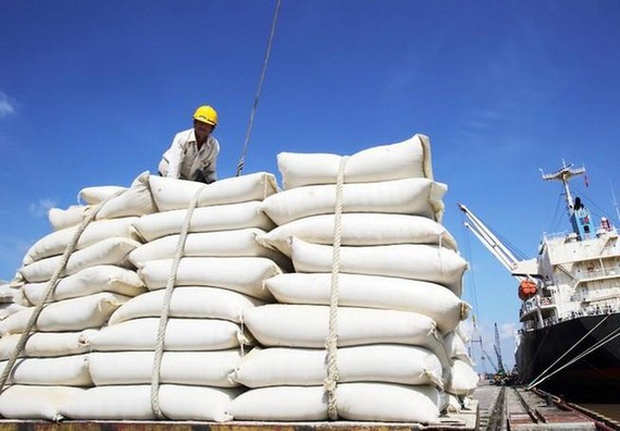 Gián đoạn nguồn cung, giá gạo tăng kỷ lục 7 năm