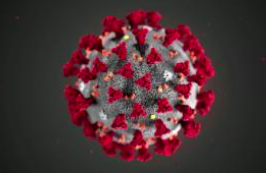 ABC News: Tình báo Mỹ cảnh báo Trung Quốc về virus corona trước khi COVID-19 bùng phát