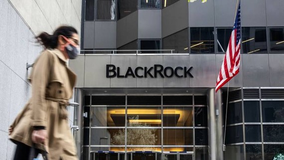 BlackRock has made ambitious commitments to environmental, social and governance issues © Bloomberg