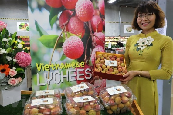 One kilo of Vietnamese fresh lychees was sold for 3,000 AUD (US$2,254) at a special auction in Pert city of West Australia. — VNA/VNS Photo